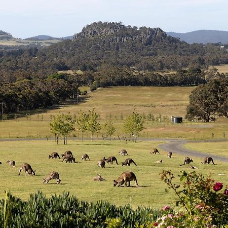Hanging Rock Views Ууденд Екстериор снимка