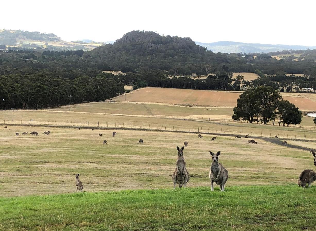 Hanging Rock Views Ууденд Екстериор снимка
